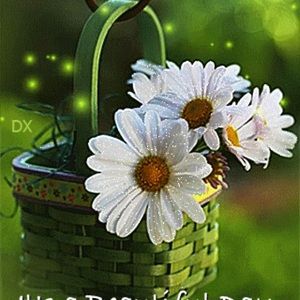 Meet your Posher, Bog